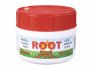 Root